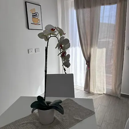 Apartament King